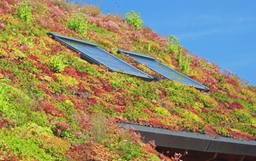 Dowland living roof systems